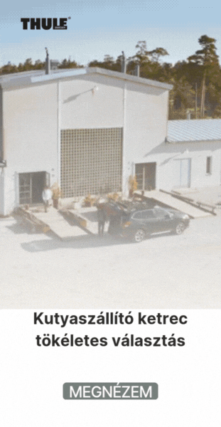 Kutyaszallito Kutyaszallito