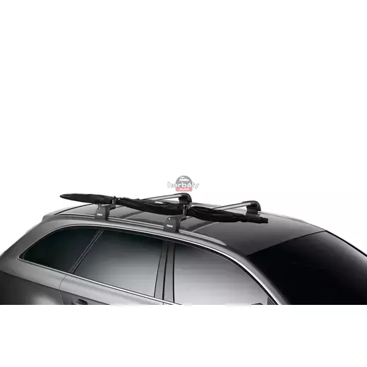 Thule SkiClick Full Size Bag 729500,Fekete