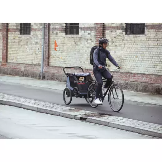 Thule Courier 10102001 kerékpáros gyermekhordozó, kék
