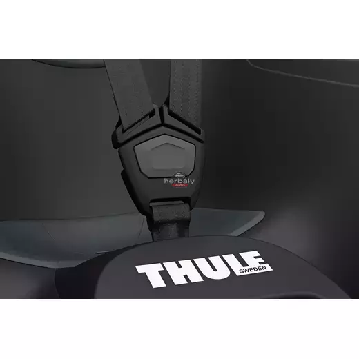Thule RideAlong 2 Lite 100209 hátsó kerékpáros gyerekülés, fekete