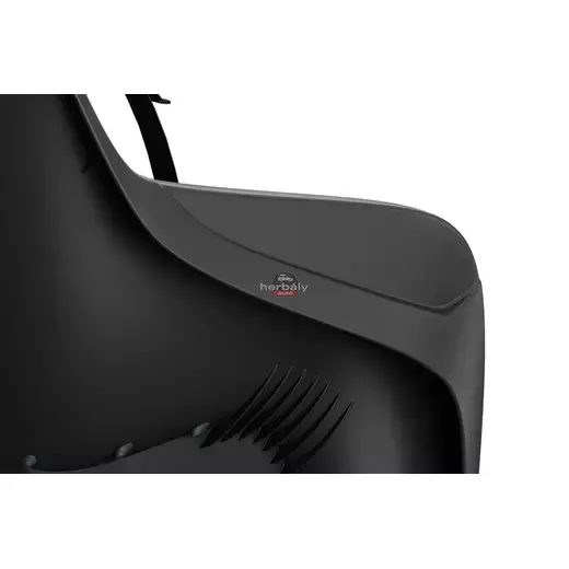 Thule RideAlong 2 Lite 100209 hátsó kerékpáros gyerekülés, fekete