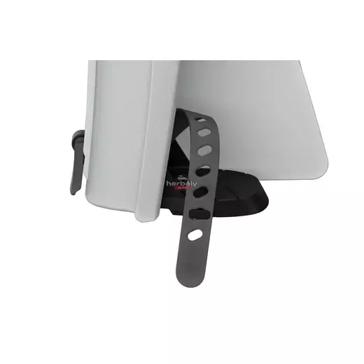 Thule RideAlong 2 Lite 100210 hátsó kerékpáros gyerekülés, szürke
