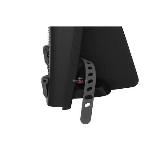 Thule RideAlong 2 100206 hátsó kerékpáros gyerekülés, fekete Thule RideAlong 2 100206 hátsó kerékpáros gyerekülés, fekete