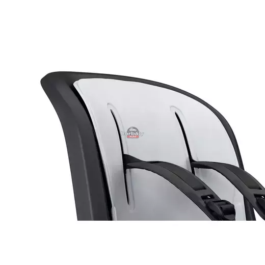 Thule RideAlong 2 100206 hátsó kerékpáros gyerekülés, fekete