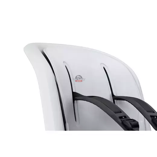 Thule RideAlong 2 100207 hátsó kerékpáros gyerekülés, szürke Thule RideAlong 2 100207 hátsó kerékpáros gyerekülés, szürke