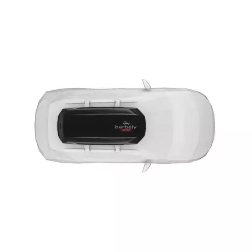 Thule Pulse 2 L 610700 tetőbox, fekete