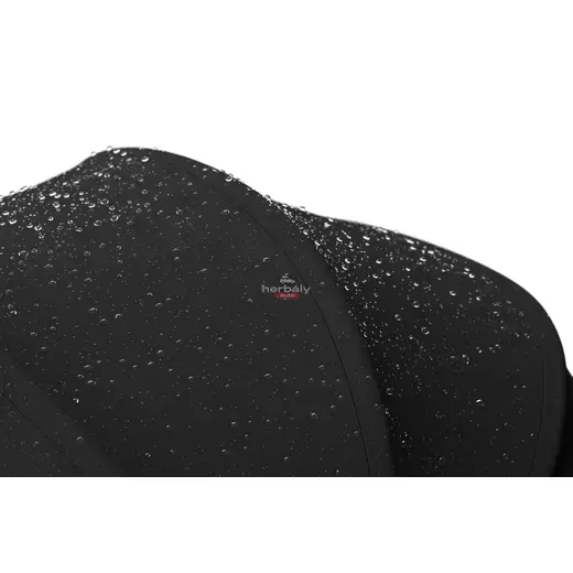 Thule Maple 14000002 autós gyermekülés, Black