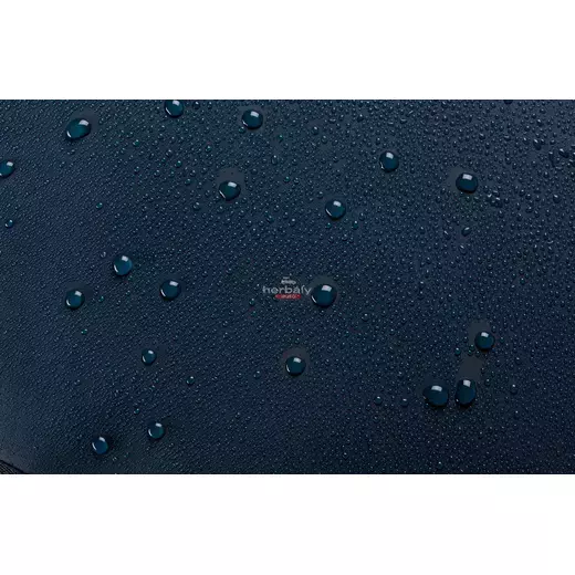 Thule Chasm 3205583 26L hátizsák, darkest blue