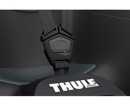 Thule RideAlong 2 Lite 100209 hátsó kerékpáros gyerekülés, fekete