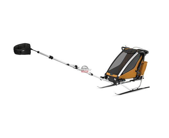 Thule Chariot Sport 2 Single 10201032, Natural gold