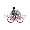 Thule RideAlong Mini 100103 első kerékpáros gyerekülés, sötétszürke