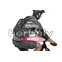 Thule Vital 3203638 3 L hátizsák, kék
