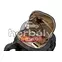 Thule Landmark 3203732 női hátizsák 70L, kék