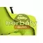 Thule RideAlong 2 Lite 100211 hátsó kerékpáros gyerekülés, lime