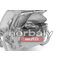 Thule sun and wind tarp 20201305, Soft beige